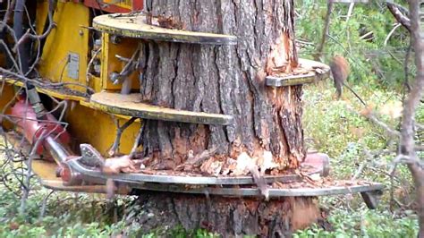 cnc machine cut tree|Pine Trees.